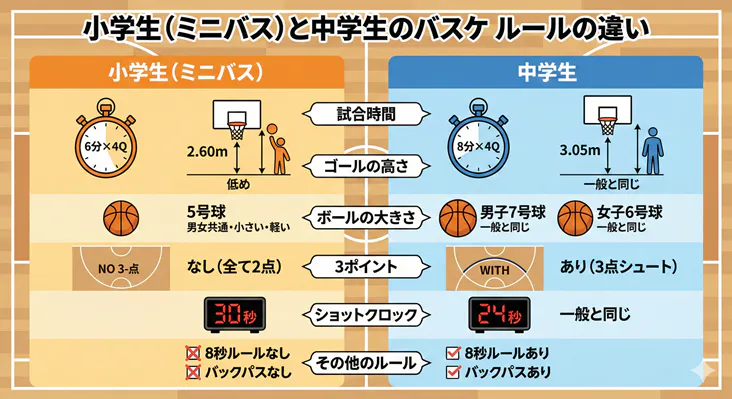 ミニバス（小学生）と中学生バスケのルールの違いをまとめた比較一覧表。試合時間、ゴールの高さ（2.6m/3.05m）、ボールの大きさ（5号/6号・7号）、3ポイントやショットクロック、バックパスなどの変更点を図解。