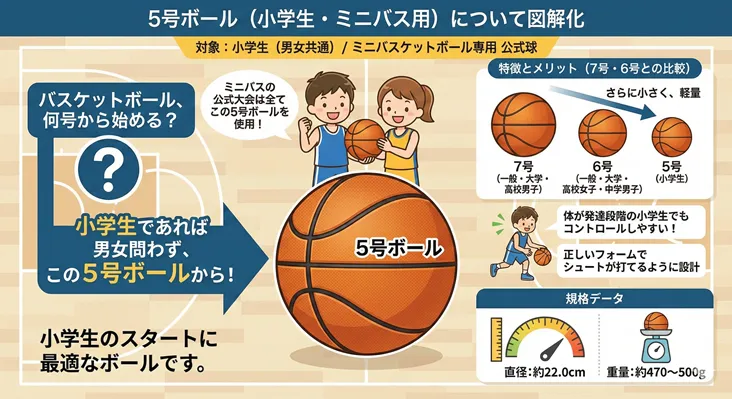 バスケットボール5号球(小学生・ミニバス用)の特徴とサイズ比較の図解。男女共通のミニバス公式大会使用球であり、初心者のスタートに最適。7号球や6号球よりも小さく軽量(直径約22.0cm、重量約470〜500g)に設計されているため、発達段階の小学生でもコントロールしやすく、正しいシュートフォームが身につくメリットがある。