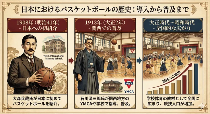 日本におけるバスケットボールの歴史インフォグラフィック：1908年（明治41年）の大森兵蔵による初紹介から、1913年（大正2年）の石川源三郎による関西YMCAでの普及、そして大正・昭和時代における学校体育を通じた全国的な競技人口増加までの流れを図解