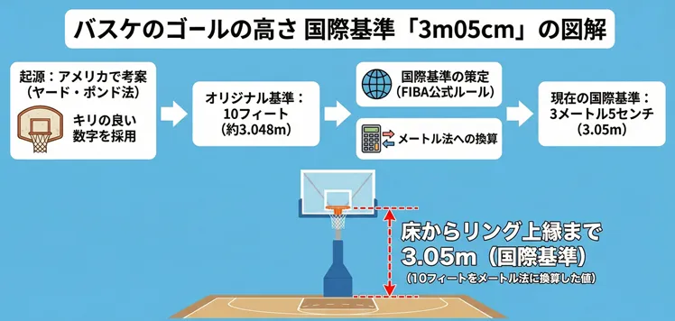 バスケットボールのゴールの高さ（リングの高さ）が国際基準で3.05m（3メートル5センチ）である理由を解説した図解。アメリカ発祥の「10フィート（約3.048m）」という基準が、FIBA公式ルール策定時にメートル法へ換算された経緯と、床からリング上縁までの公式サイズを示したイラスト。