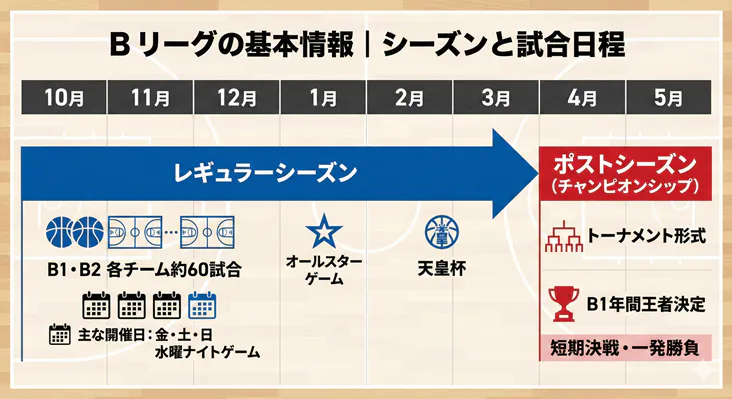 Bリーグの基本情報とシーズン日程の図解。10月の開幕から5月のチャンピオンシップ（ポストシーズン）までの年間スケジュール、試合数（約60試合）、開催曜日（金土日・水曜ナイトゲーム）、オールスターや天皇杯の時期を網羅した一覧表