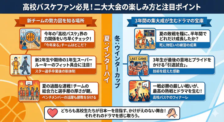 高校バスケの二大大会「インターハイ（夏）」と「ウィンターカップ（冬）」の違いと楽しみ方を比較した図解。新チームの戦力やルーキーが鍵となる夏と、3年間の集大成・引退試合のドラマがある冬、それぞれの見どころを解説。