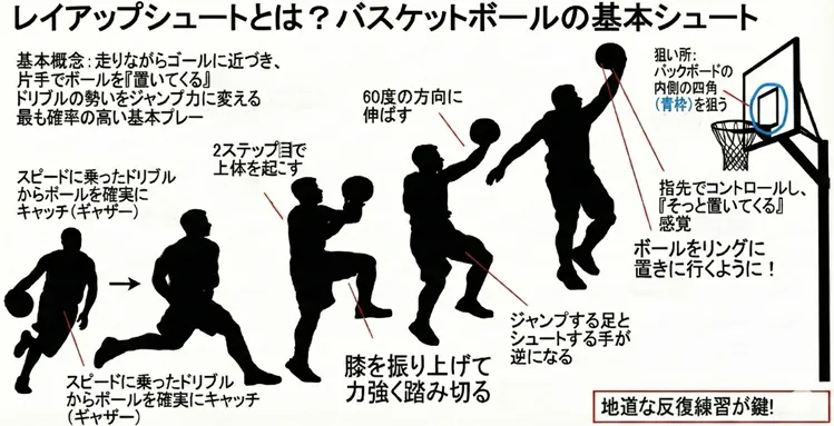 バスケットボールのレイアップシュートのやり方とコツを図解。ドリブルからステップ、ジャンプ、ボールを「置いてくる」リリースまでの基本フォームとバックボードの狙い方を5段階で解説。