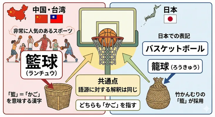 バスケットボールの中国語「籃球（ランチュウ）」と日本語「籠球（ろうきゅう）」の語源比較図。日中両国とも「かご」を意味する漢字（竹かんむり）が由来であり、語源に対する解釈が共通していることを解説したイラスト。