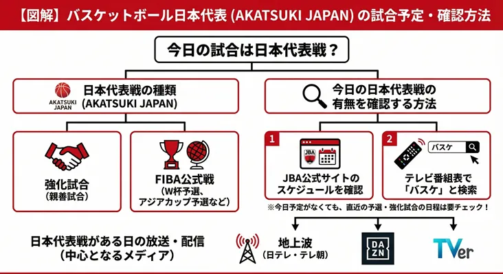 バスケットボール日本代表（AKATSUKI JAPAN）の試合予定・放送の確認方法を解説した図解。今日の試合の有無を調べる手順（JBA公式サイト、テレビ番組表検索）や、試合の種類（強化試合、FIBA公式戦、W杯予選など）、主な放送・配信メディア（地上波の日テレ・テレ朝、DAZN、TVer）を網羅しています。