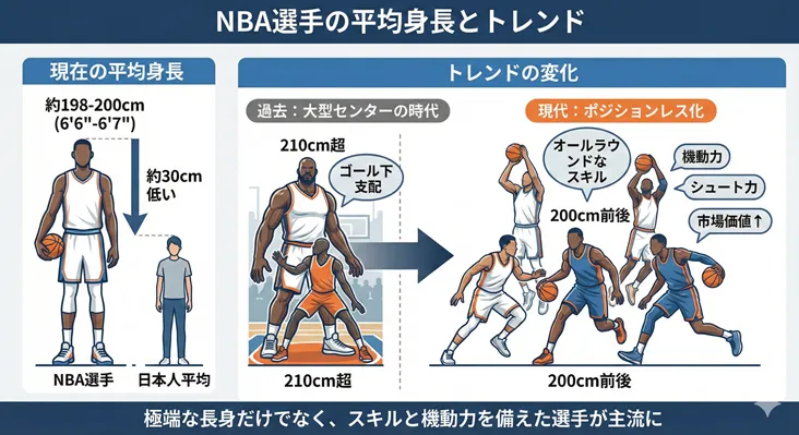 NBA選手の平均身長(約198-200cm)と日本人平均との比較、および過去の大型センター時代から現代のポジションレス化・スキル重視へのトレンド変化を解説したインフォグラフィック