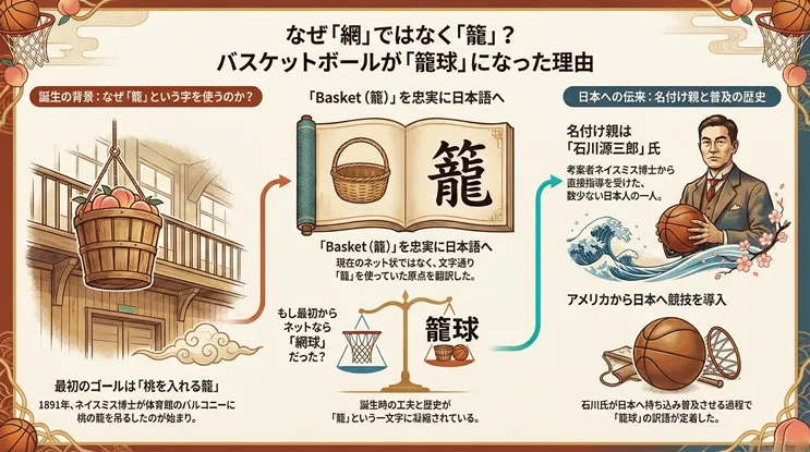 代替テキスト: バスケットボールがなぜ「籠球（ろうきゅう）」と呼ばれるのか、その由来と歴史を解説したインフォグラフィック。1891年に考案者ネイスミス博士が「桃を入れる籠」を最初のゴールとして使用した誕生の背景、「Basket（籠）」を忠実に日本語訳したため「網球」ではなく「籠球」となった経緯、そしてネイスミス博士から直接指導を受け日本へ競技を導入・普及させた名付け親、石川源三郎氏の功績をイラスト付きで詳しく紹介している。