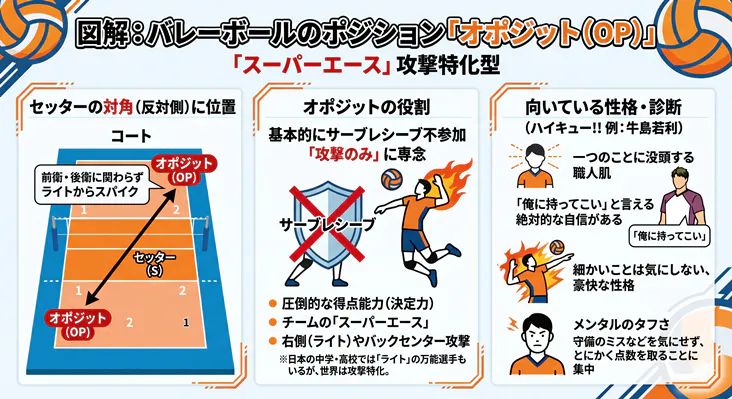 バレーボールのポジション「オポジット（OP）」の役割と特徴の図解。攻撃特化型の「スーパーエース」として、セッターの対角に位置するコートでの配置、サーブレシーブに参加せず攻撃のみに専念する役割、圧倒的な得点能力や絶対的な自信を持つ向いている性格について分かりやすく解説しています。