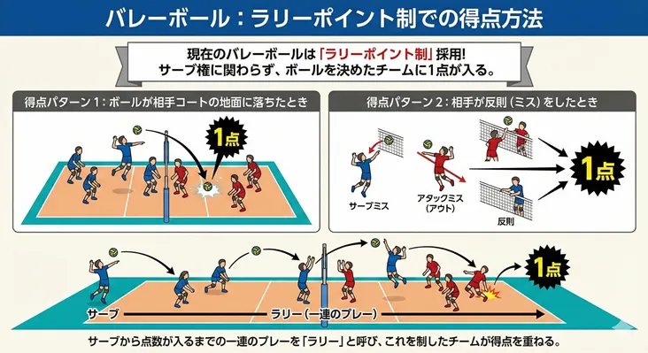 バレーボールのルール「ラリーポイント制」での得点方法を解説する図解イラスト。サーブ権に関わらずラリーを制したチームに1点が入る仕組みを説明。得点パターンとして「相手コートの地面にボールが落ちたとき」や「相手のサーブミス・アタックミス・反則」の具体例を掲載。サーブから得点までの一連の流れ（ラリー）を視覚的に示した画像。